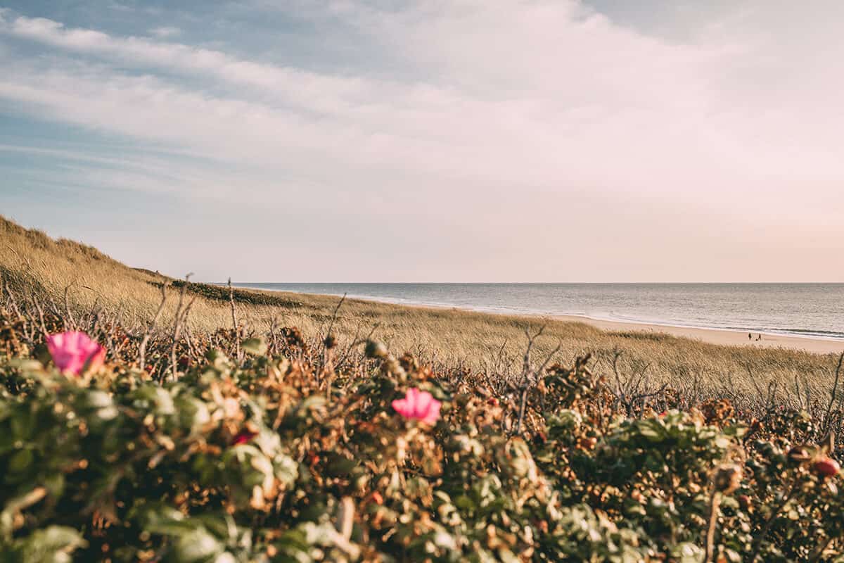 Strandmuschel Rantum Restaurant am Hauptstrand