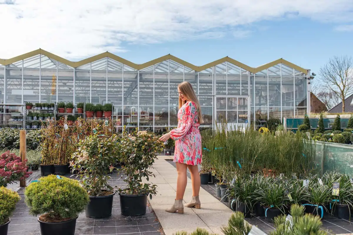 Gartencenter Harms in Keitum: Außenbereich