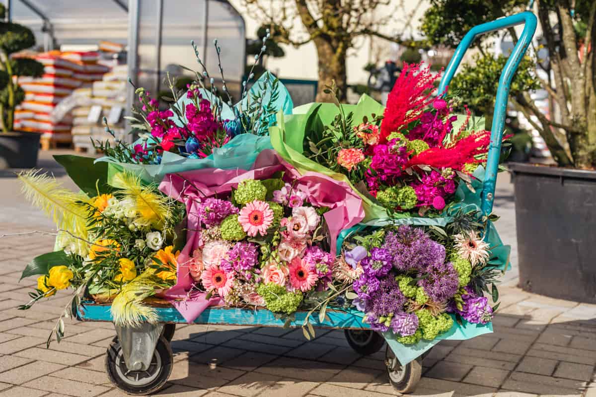 Gartencenter Harms in Keitum: Blumensträuße 