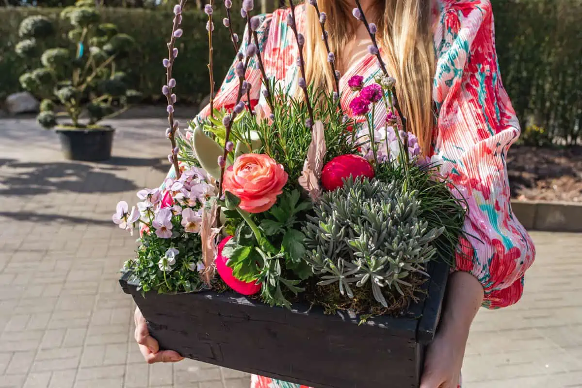 Gartencenter Harms in Keitum: Bepflanzter Kasten 