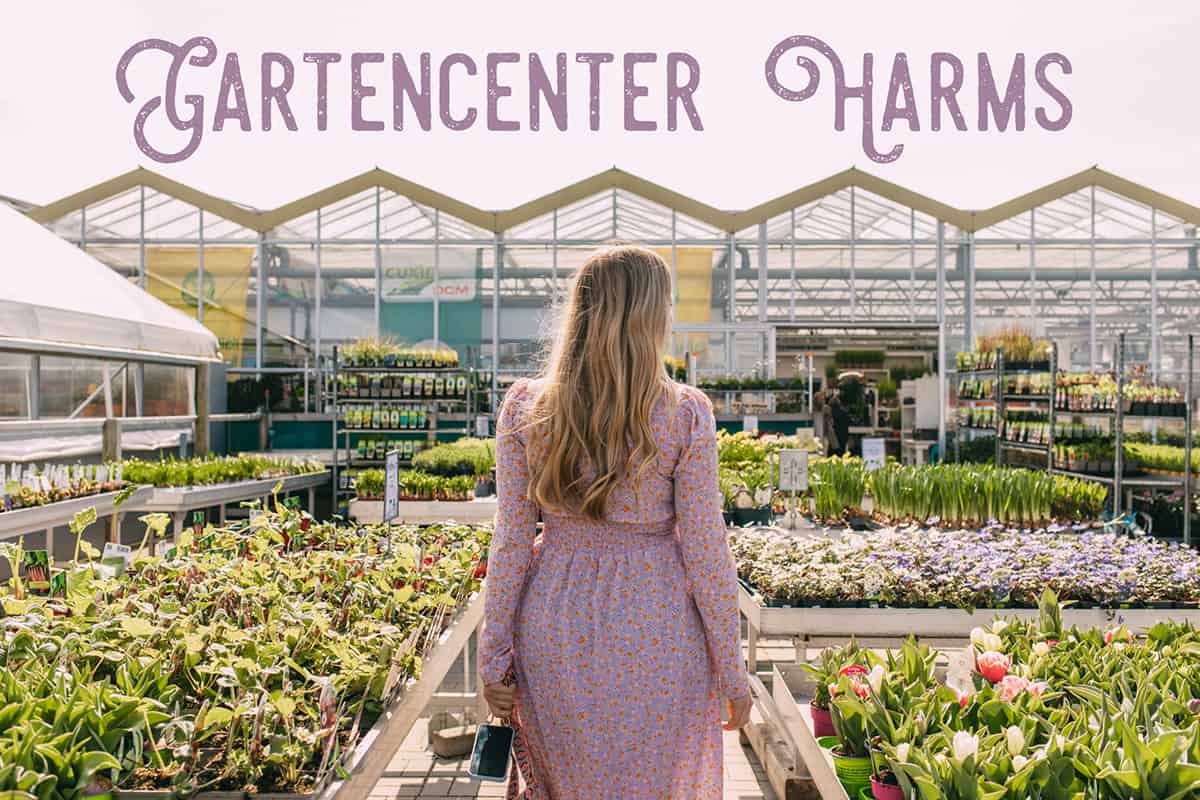 Sylt im April 2022: Gartencenter Harms in Keitum