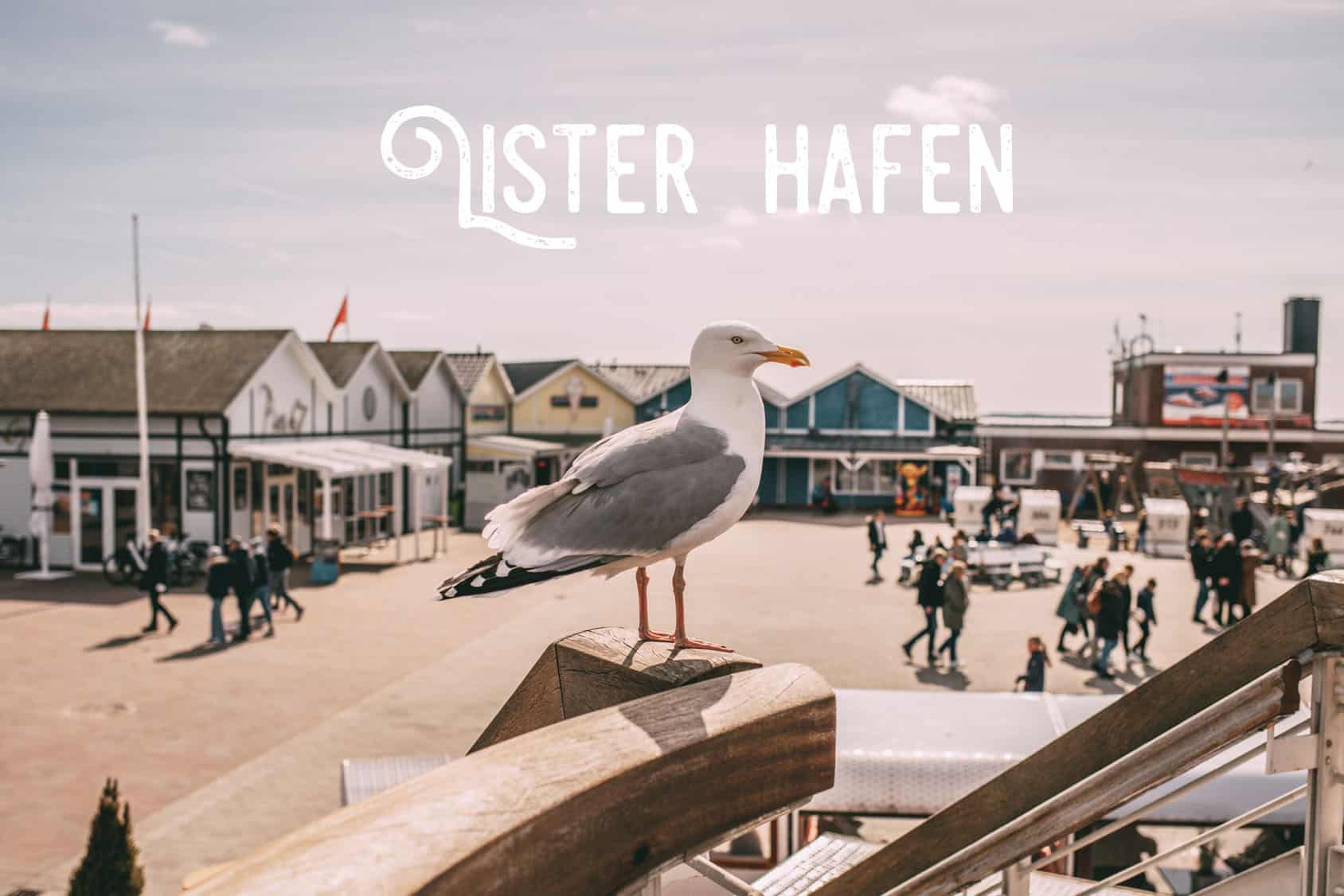 Möwe auf Treppengeländer Sylt List