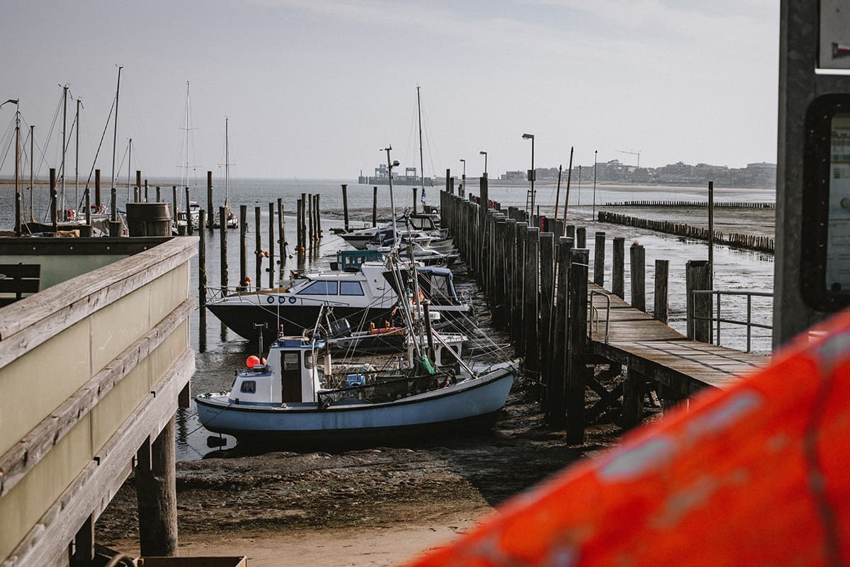 Ein Tagesausflug nach Amrum: Wittdün Kutter Hafen