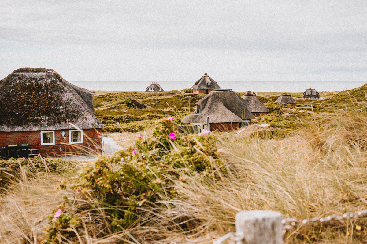 Sylt im Juli 2022: Kersig-Siedlung Reetdachhäuser