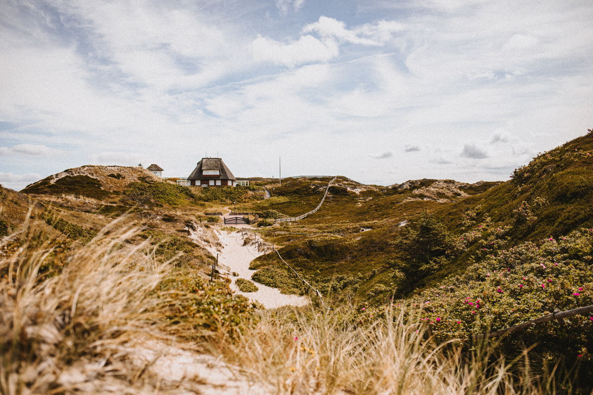 Sylt im Juli 2022: Kernig-Siedlung in Hörnum Reetdachhaus