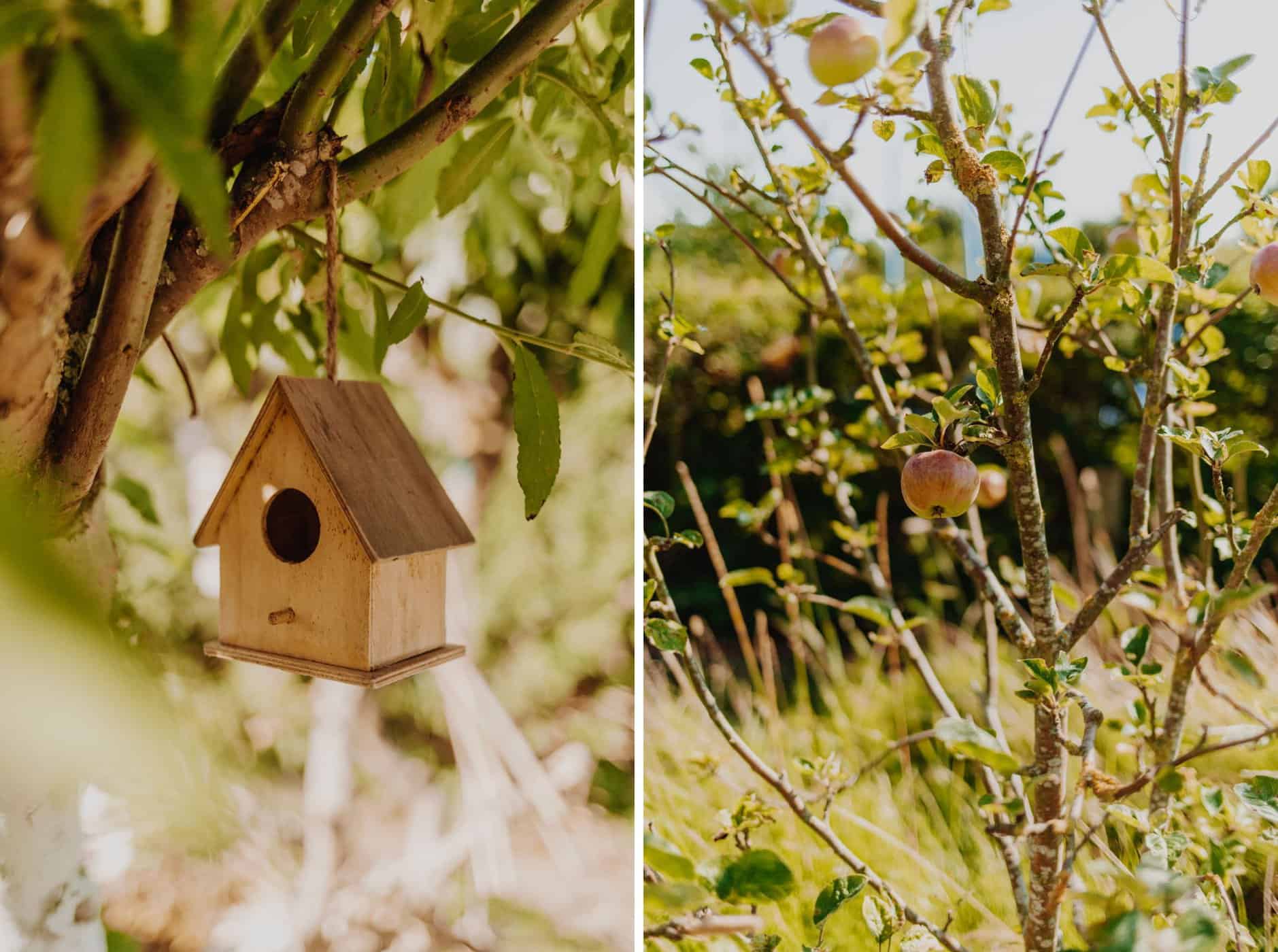 Linka: Vogelhaus, Rechts: Apfelbaum