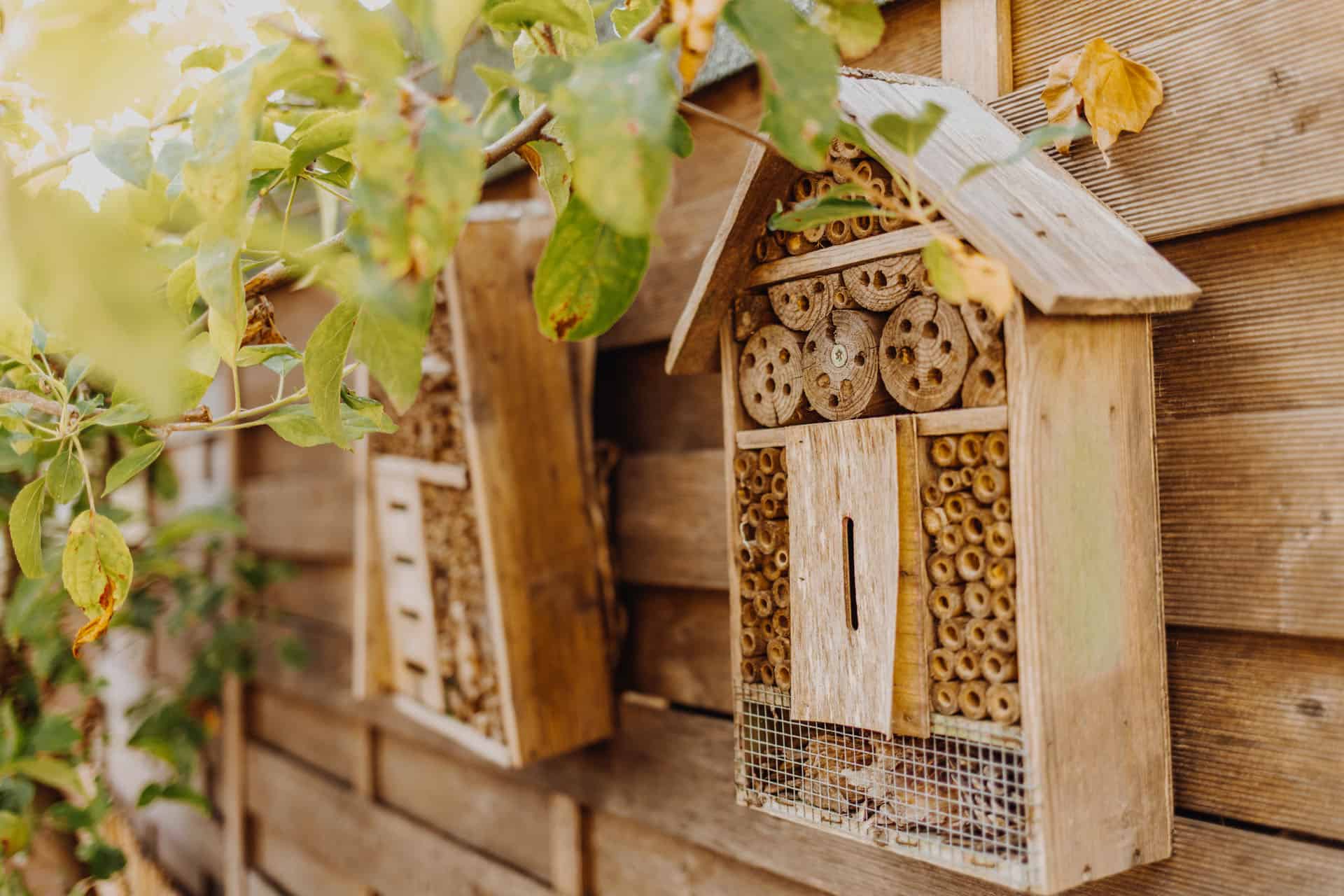 Kleingarten Sylt: Bienenhotel