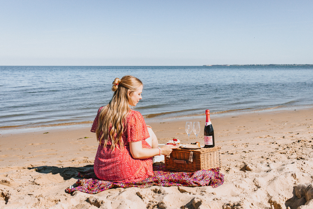 Picknick Munkmarsch Sylt Odin 