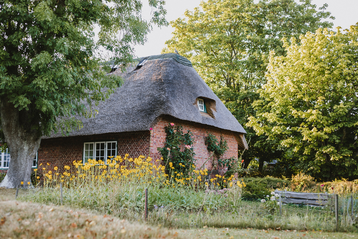 Tagesausflug nach Sylt: Reetdachhaus in Keitum mit Sonnenblumen im Garten