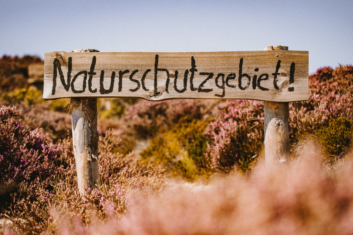 Naturschutzgebiet Listland zwischen Kampen und List auf Sylt