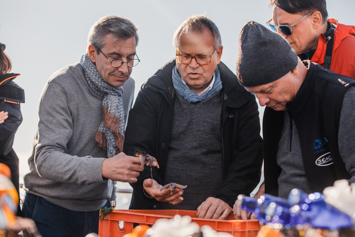 List Sylt Hafen Kutter Meerestiere