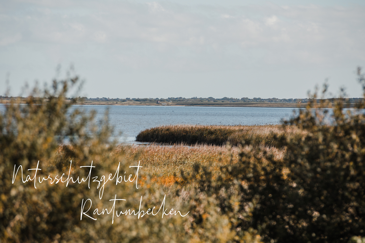 Rantumbecken auf Sylt