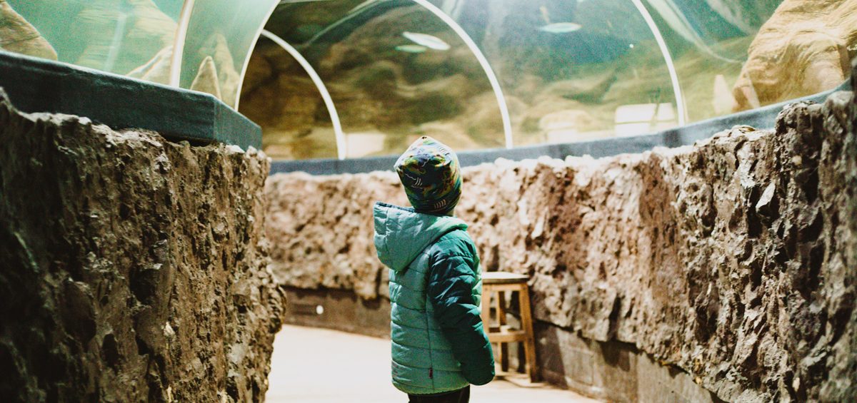Sylt mit Kindern Aktivitäten bei Regen: Sylt Aquarium