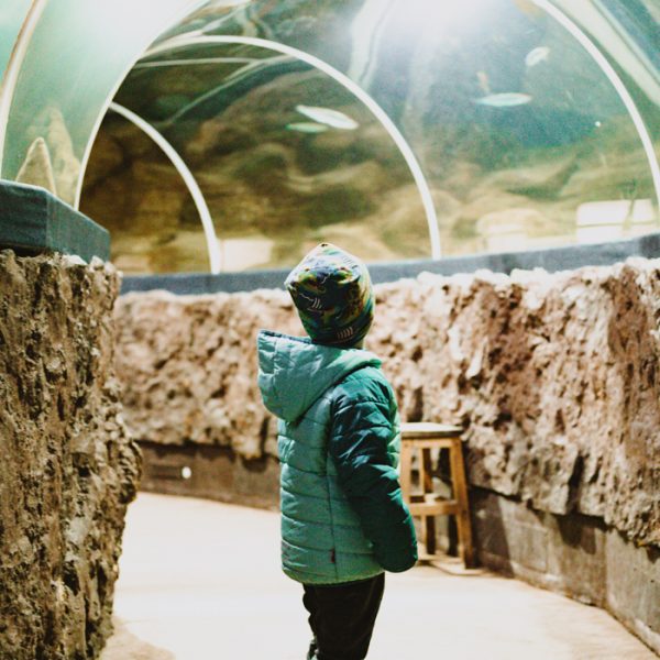 Sylt mit Kindern Aktivitäten bei Regen: Sylt Aquarium