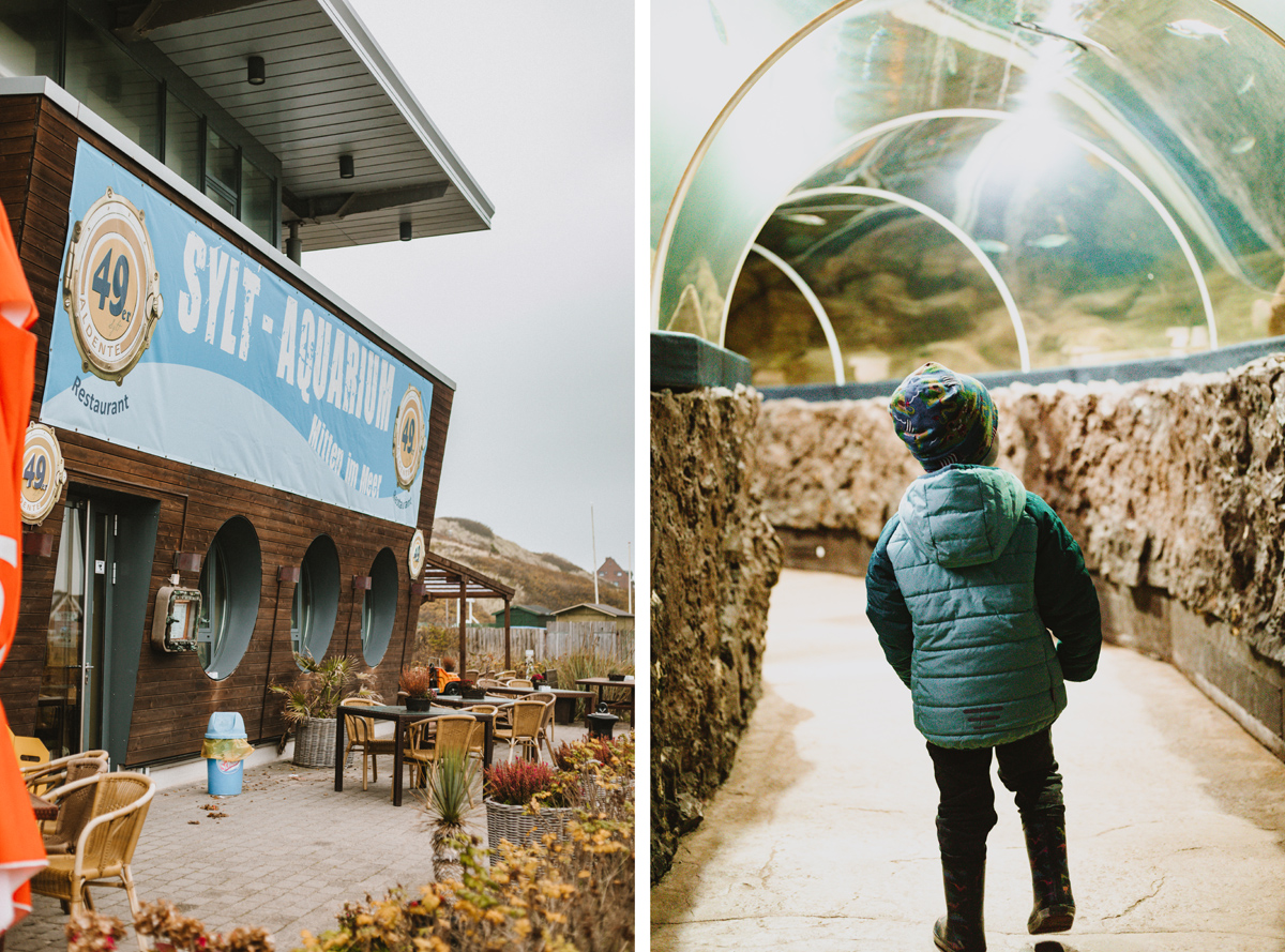 Sylt mit Kindern Aktivitäten bei Regen: Sylter Aquarium