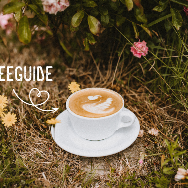 Kaffee trinken auf Sylt: Tipps für die besten Cafés auf Sylt