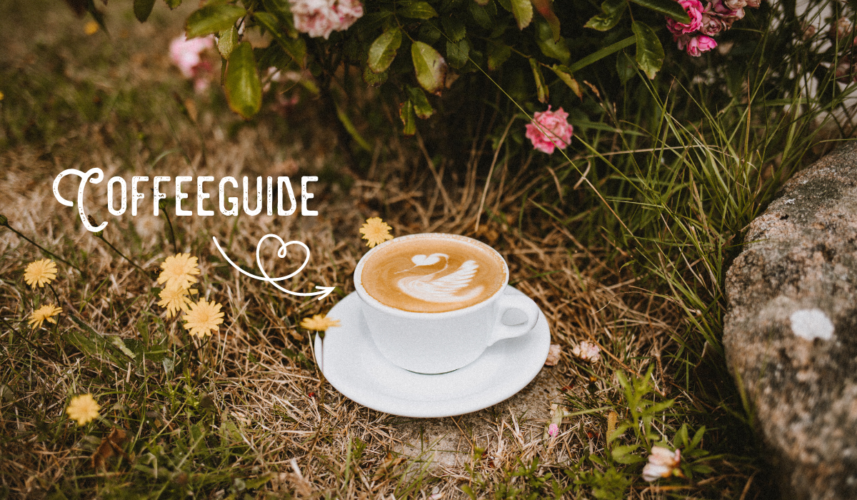 Kaffee trinken auf Sylt: Tipps für die besten Cafés auf Sylt
