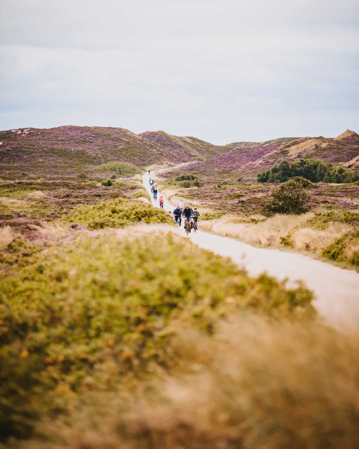 Fahrradtour auf Sylt durch das Listland