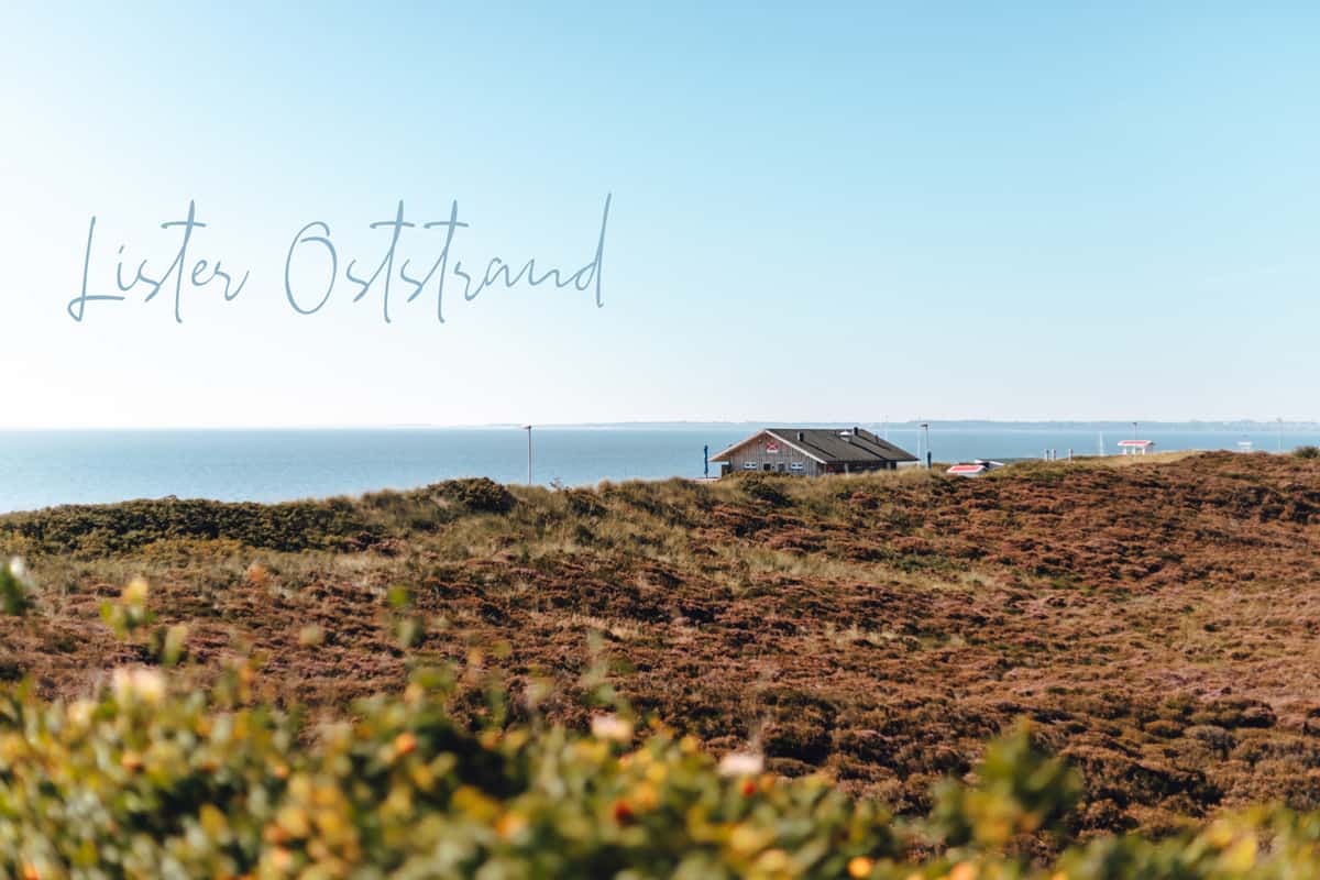 List auf Sylt: Oststrand mit der Lister Austernperle 