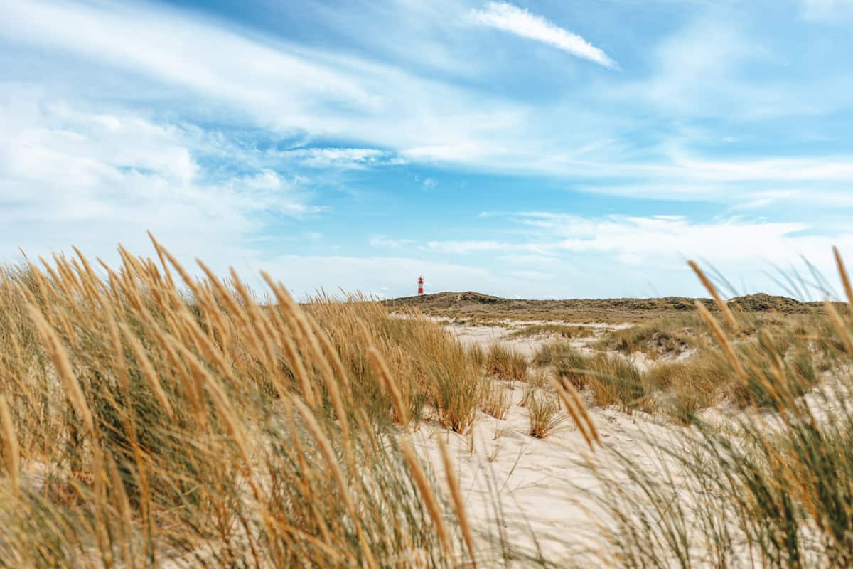 5 Lieblingsplätze & Aussichtspunkte in List auf Sylt: Der Strand am Ellenbogen mit dem rot-weißen Leuchtturm