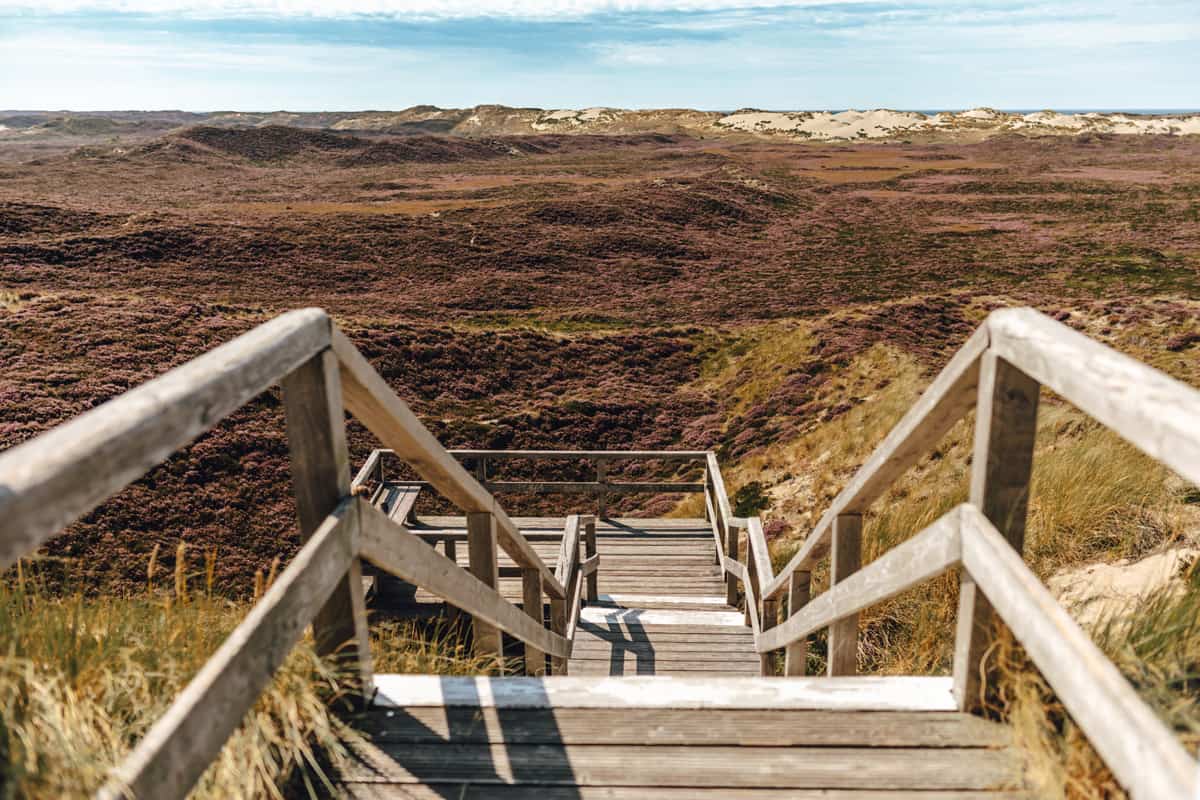 Aussichtspunkte Sylt: Dünenbalkon in List