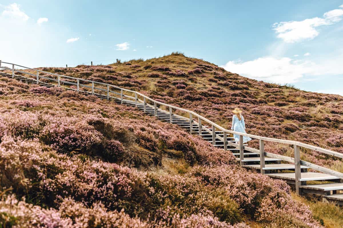 List auf Sylt: Holztreppe Dünenlandschaft mit Sylt Fräulein Finja