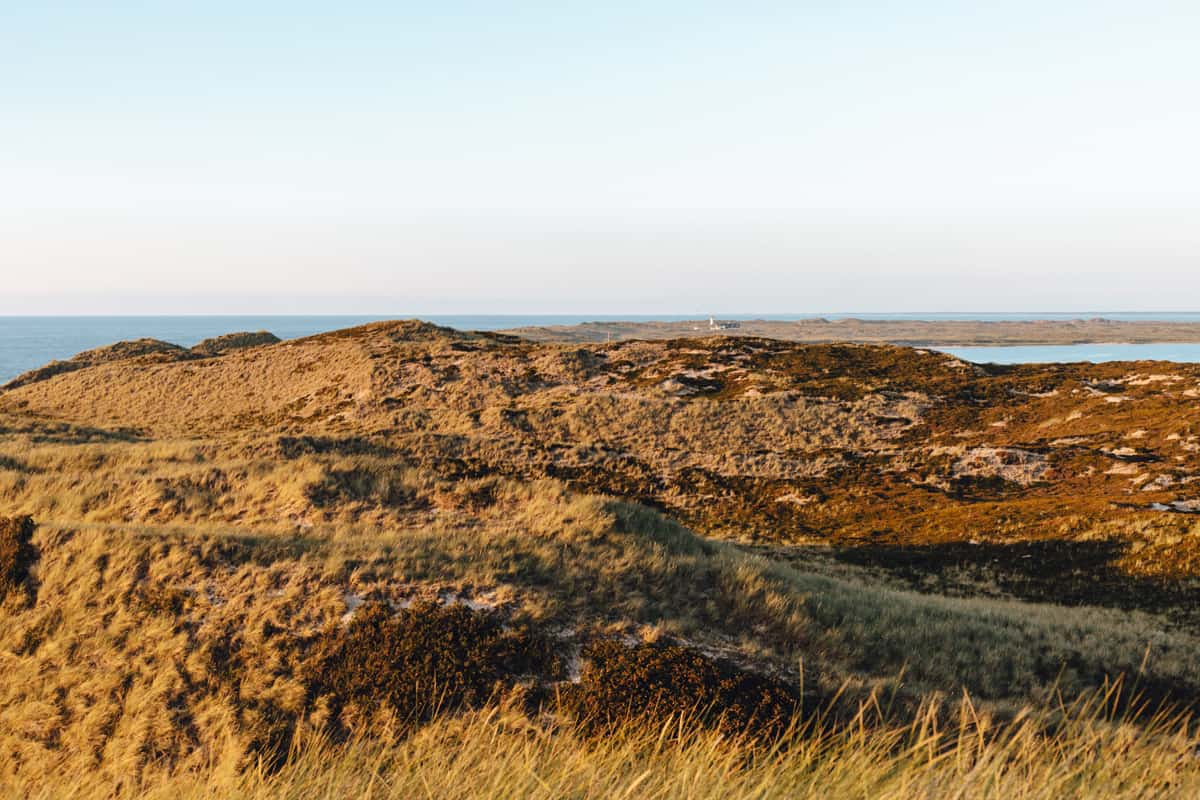 List auf Sylt: Ausblick Aussichtsdüne 