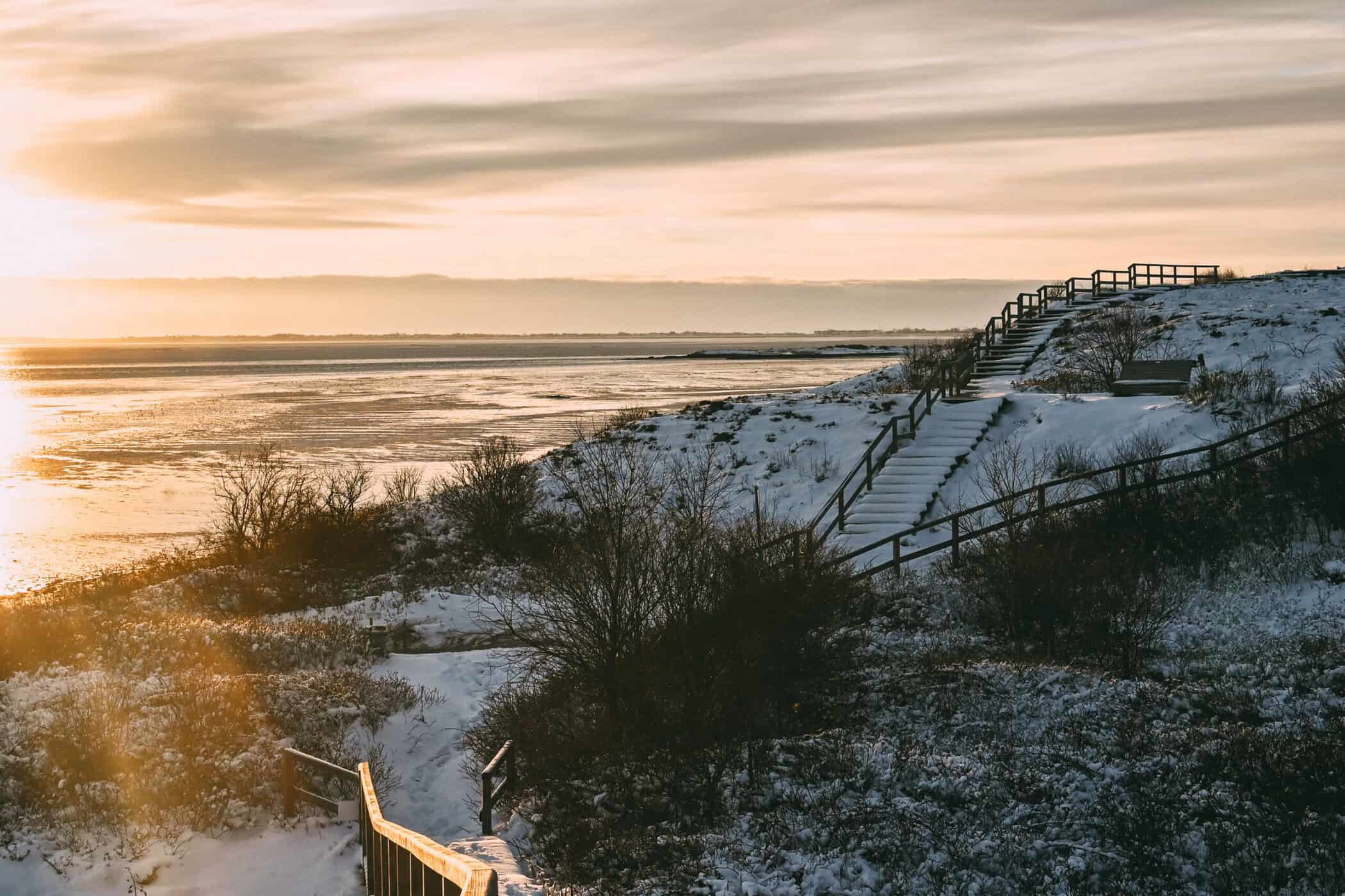 Sylt im Schnee: Braderuper Heide