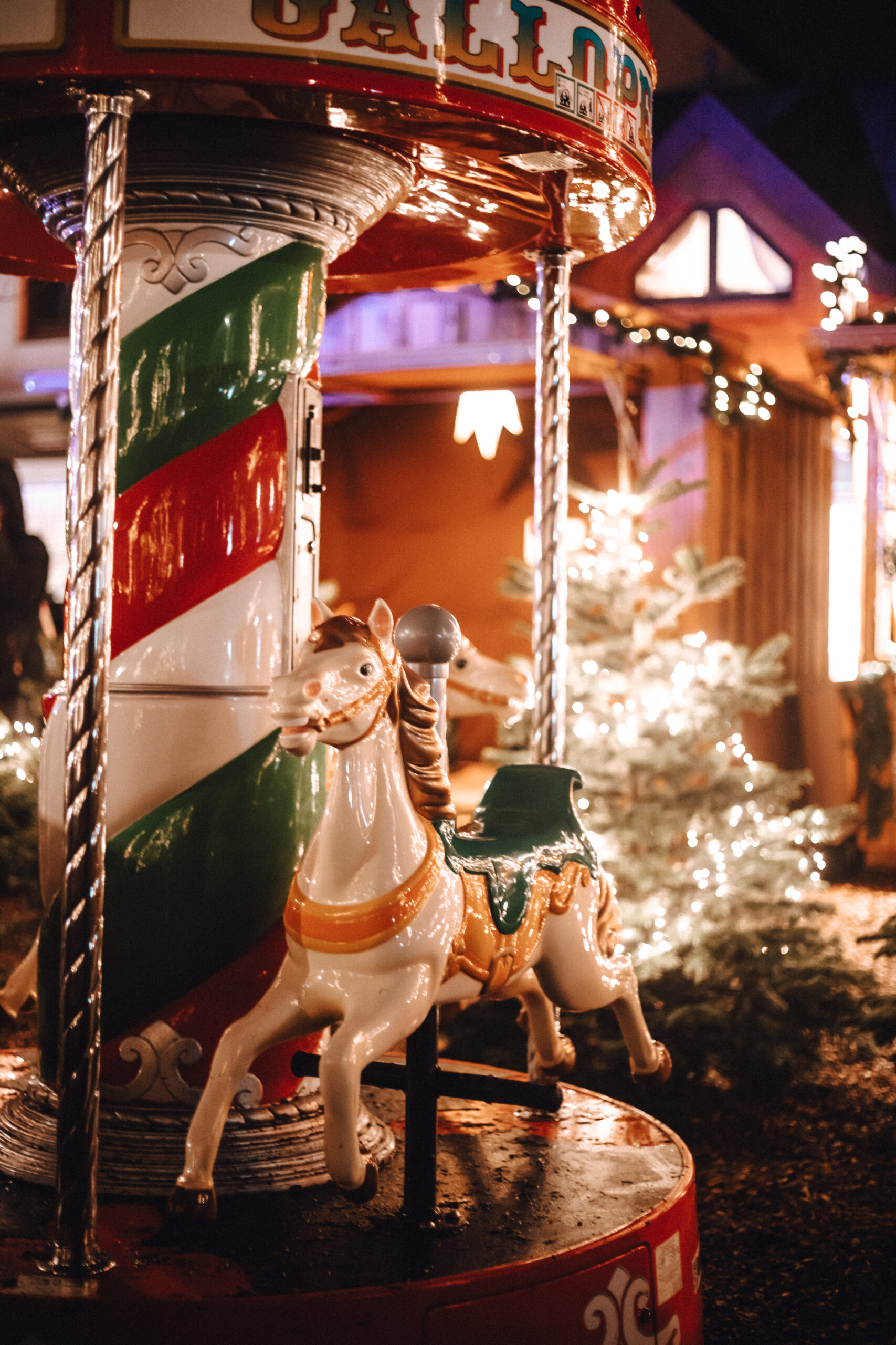 sylter wintermarkt Karrussell