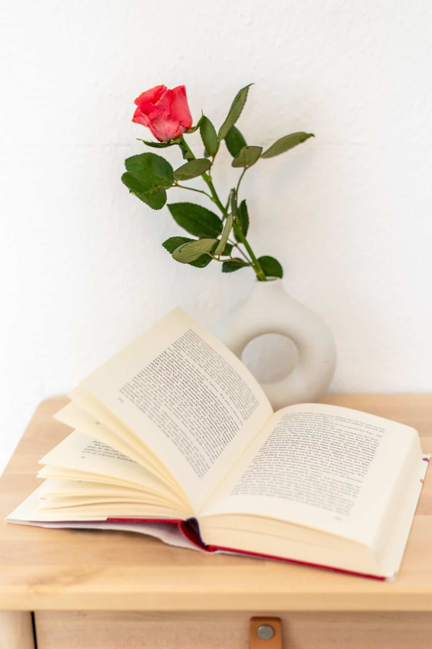 Buch Villa Klasen