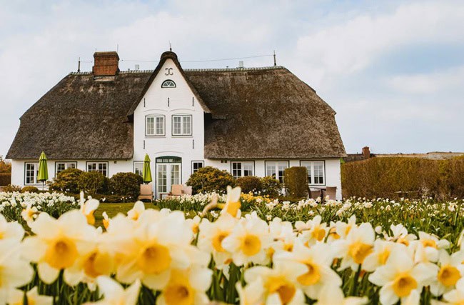 Sylt Fräulein WOW-Gewinnspiel 2025