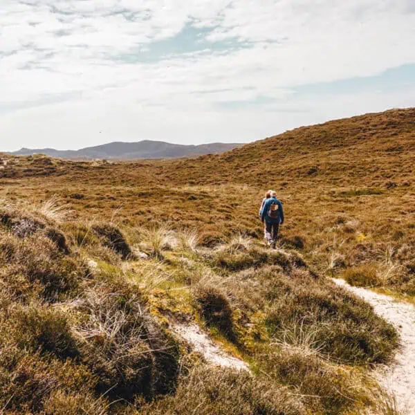 Führung zum Fuße der Wanderdüne List