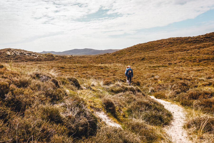 Führung zum Fuße der Wanderdüne List