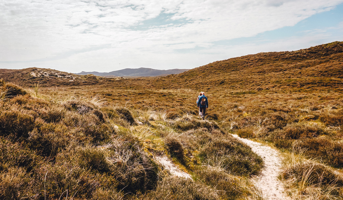 Führung zum Fuße der Wanderdüne List
