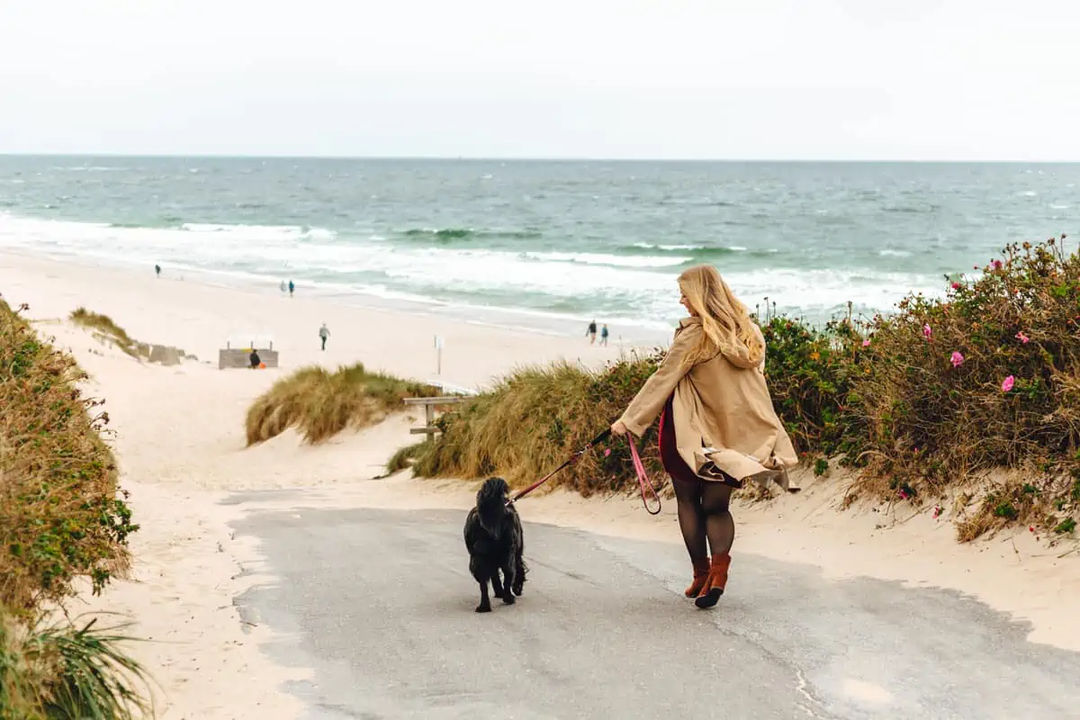 Sylt Fräulein Finja mit Hund am Strand von Wenningstedt