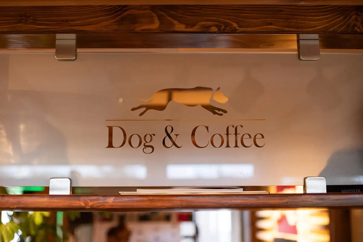 Dog&Coffee Bar bei Dogstyler Sylt