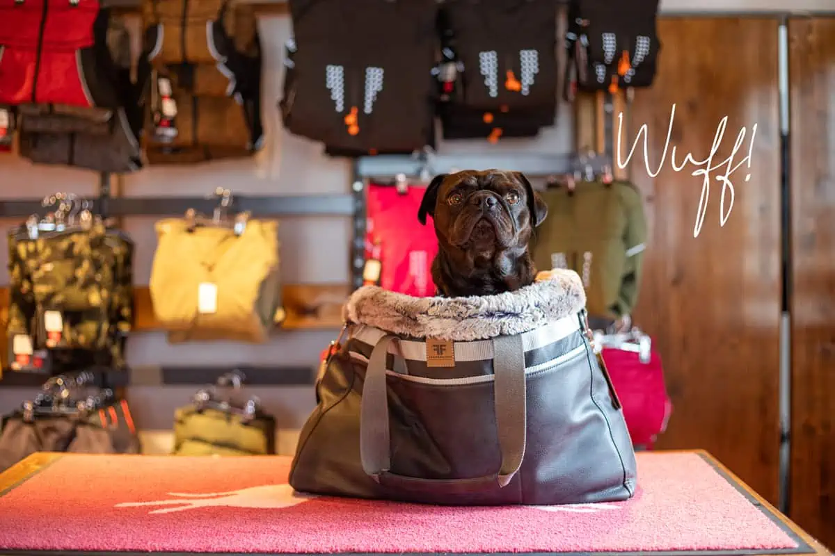 Joda in der Dogstyler Sylt Hundetasche